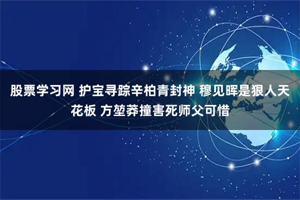 股票学习网 护宝寻踪辛柏青封神 穆见晖是狠人天花板 方堃莽撞害死师父可惜